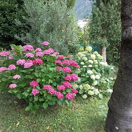 Haus Tinkhauser