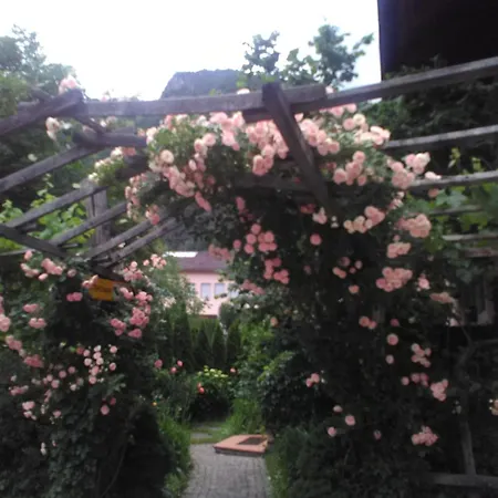 Haus Tinkhauser * Vilpiano